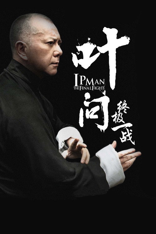 叶问：终极一战