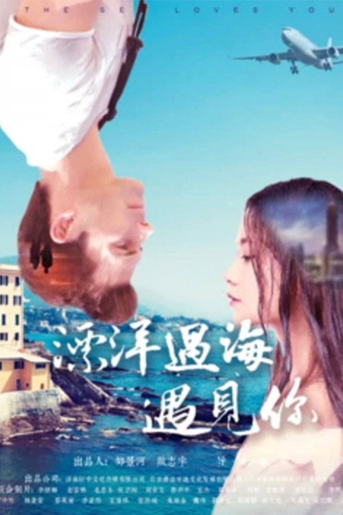 漂洋过海遇见你