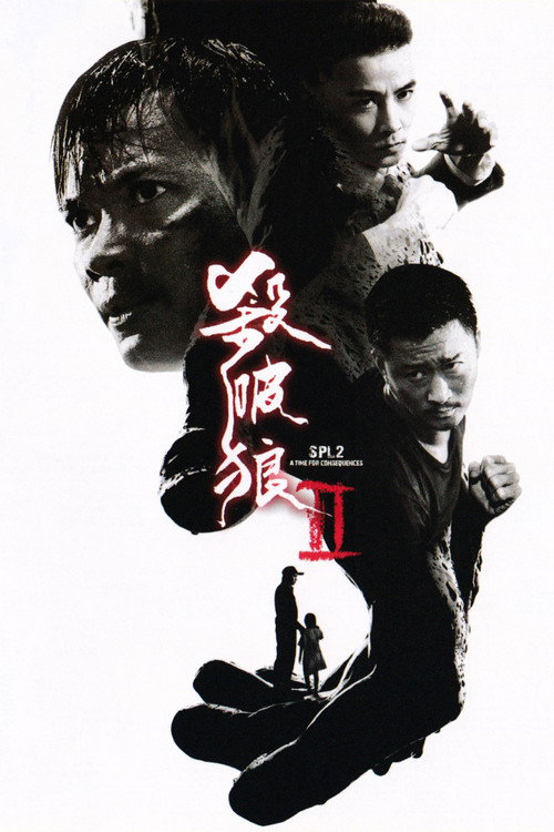 杀破狼2