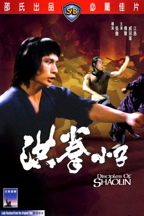 洪拳小子