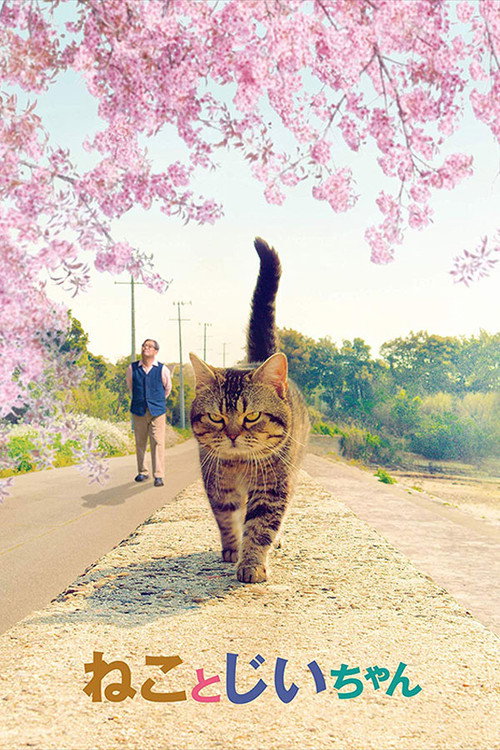 猫与爷爷