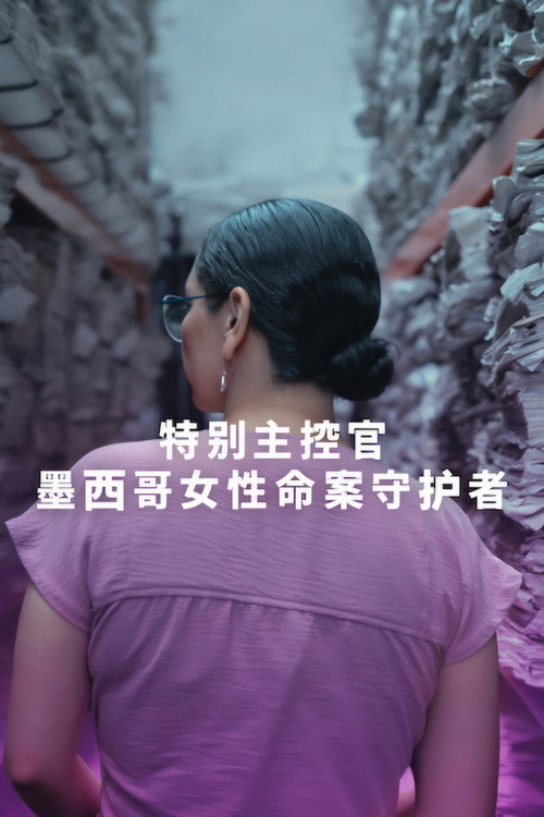 特别主控官：墨西哥女性命案守护者